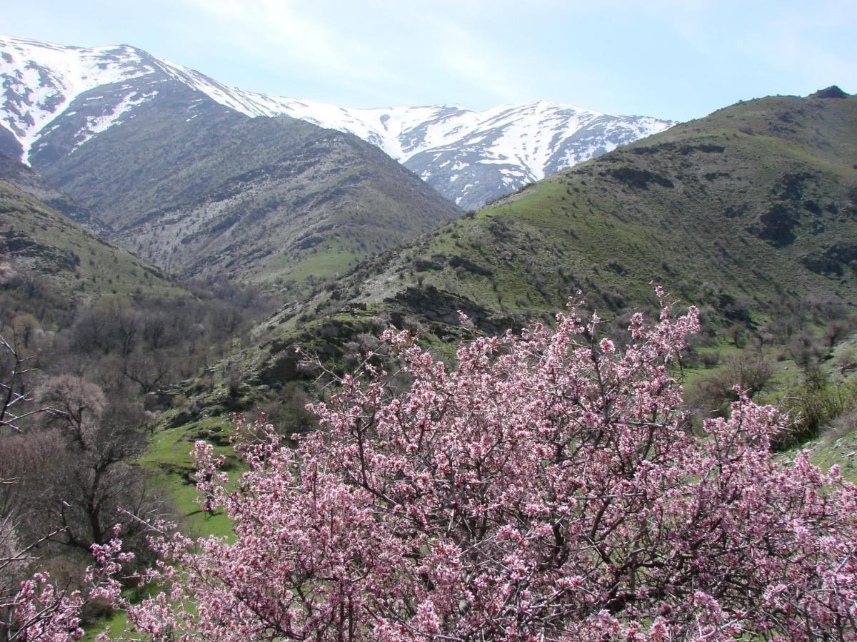 Yukary-Ukhum Hayat Guesthouse Nuratau Mountains מראה חיצוני תמונה