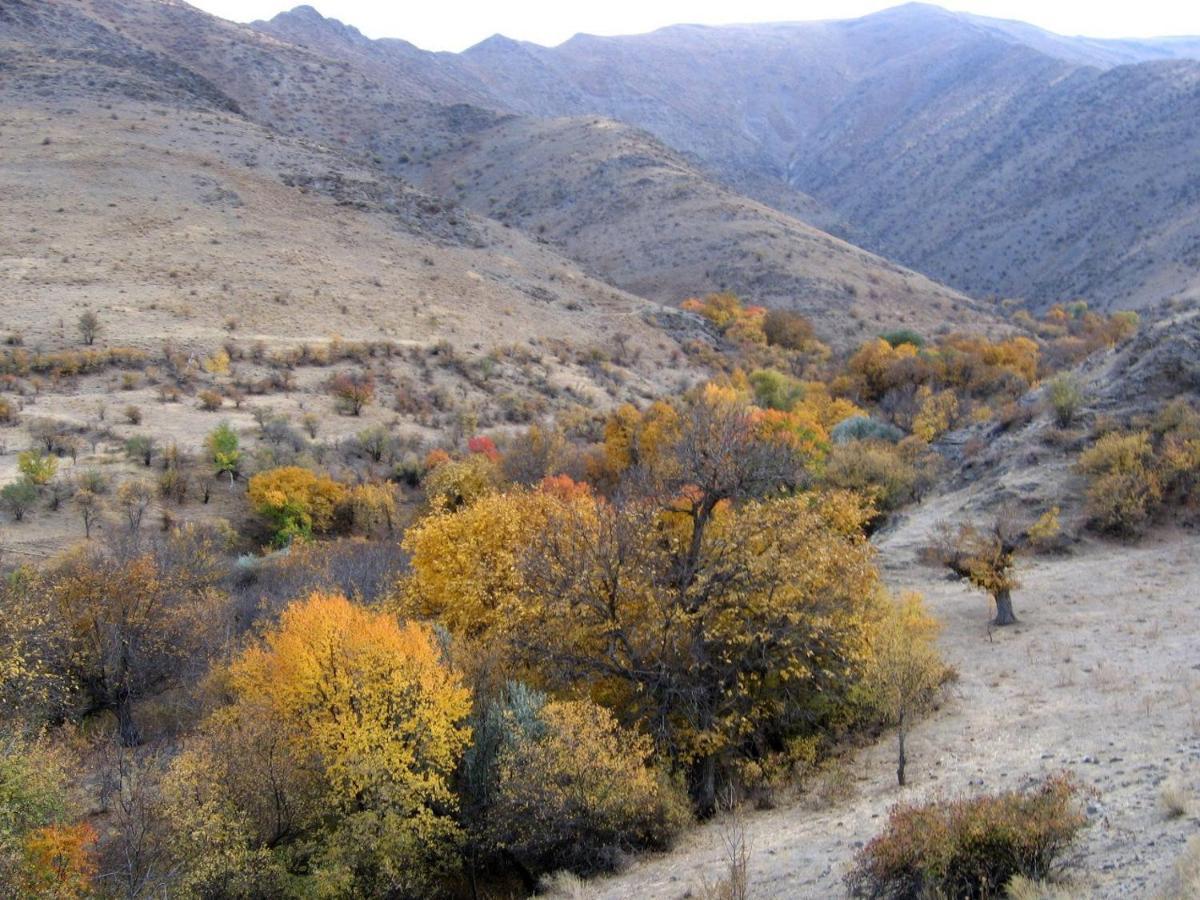 Yukary-Ukhum Hayat Guesthouse Nuratau Mountains מראה חיצוני תמונה